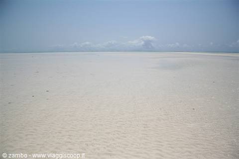 Paradise....???