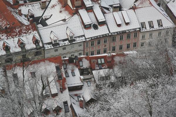 Snow-covered red rooftops in Ljubljana old town among frosted trees