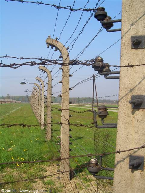 Birkenau- Barbed wire and high voltage