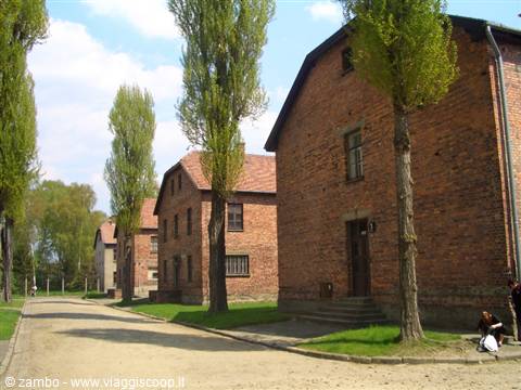 Auschwitz dormitories