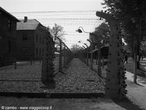 Electrified barbed wire fence and brick barracks at Auschwitz camp