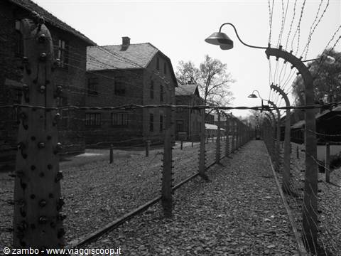 Barbed wire fences and brick barracks at Auschwitz, black and white