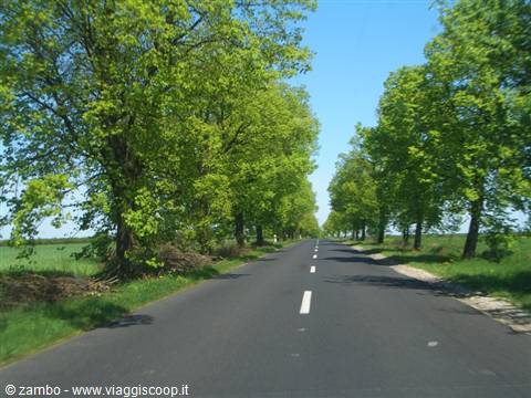 Poland Roads