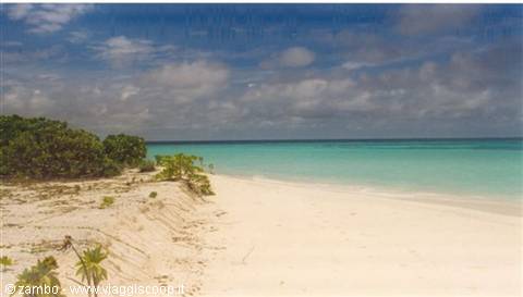 Deserted beach