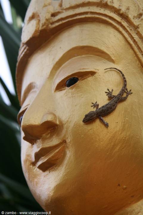 Laos
