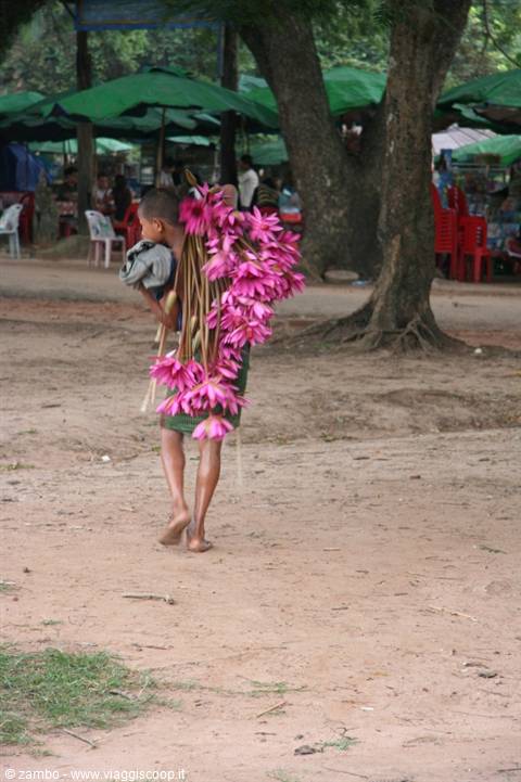 Barefoot child carries large bunch of pink lotus flowers under trees with green umbrellas