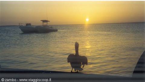 Sunset Crasqui