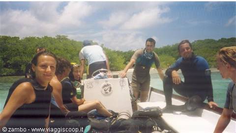 Diving Boca de Cote