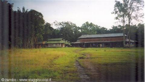 Camp in the jungle