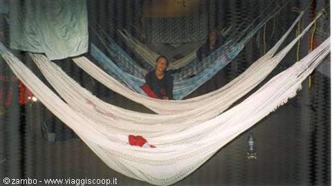 Camp / Hammocks