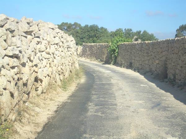 Country roads