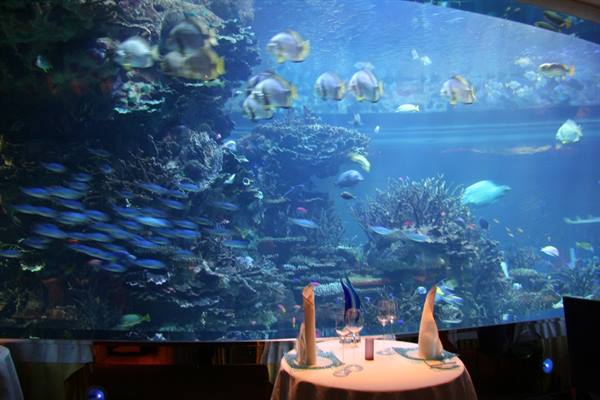 Restaurant view...aquarium