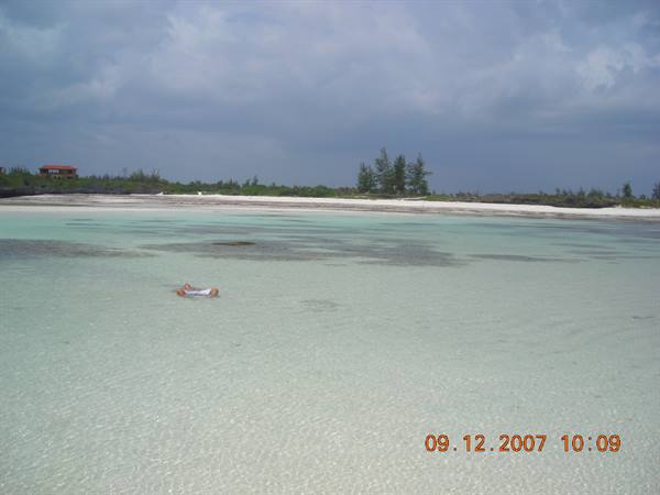 Person floating in shallow turquoise water before white beach and pines
