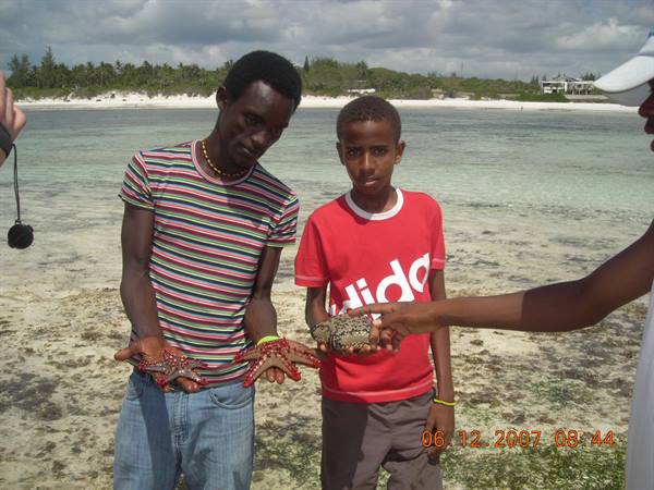 Two boys show starfish and sea urchins on a shallow beach