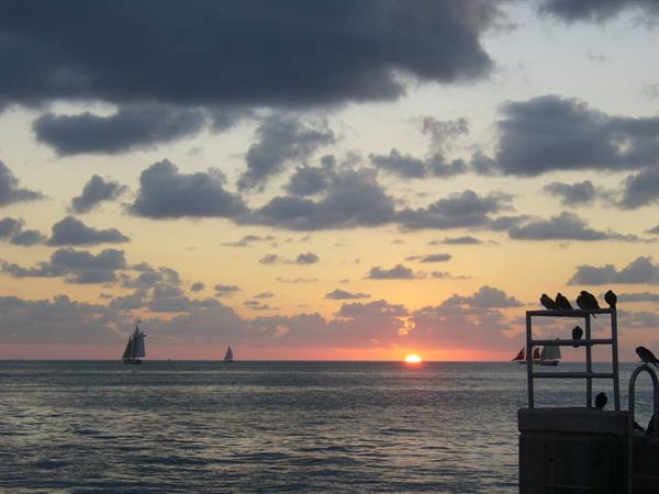 sunset celebration