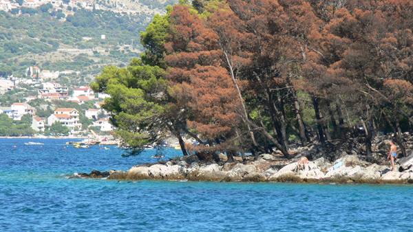 Land, sea and unfortunately fire