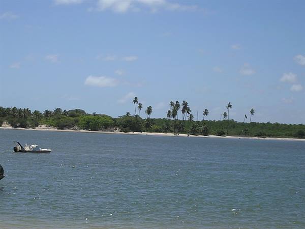 Motorboat on blue water in front of beach with palm trees and tropical vegetation