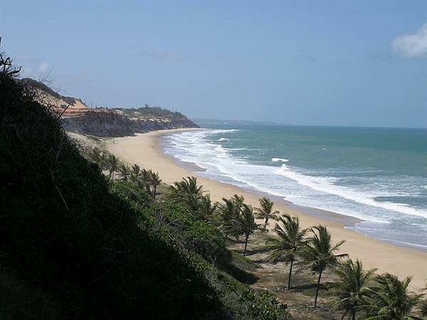 Palms on sandy beach, ocean waves and cliffs under blue sky