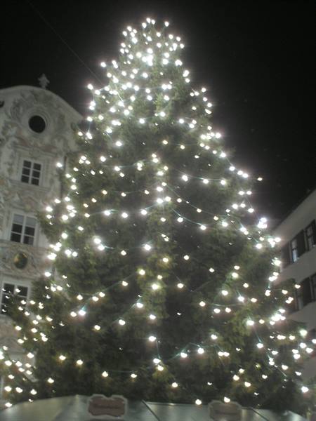 Christmas tree lit at night in front of baroque facade, Innsbruck