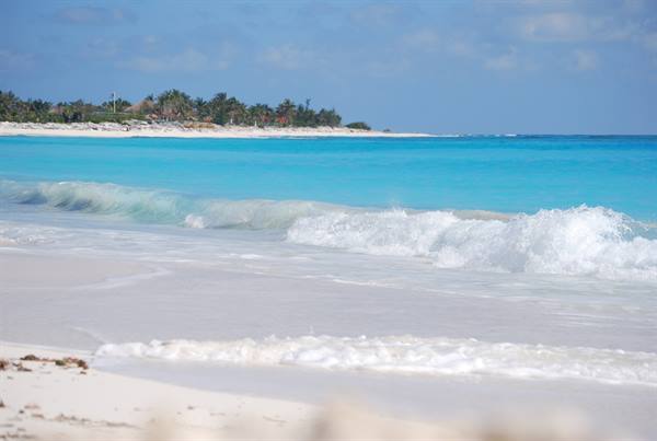 Turquoise waves breaking on white sand, palm trees in the background