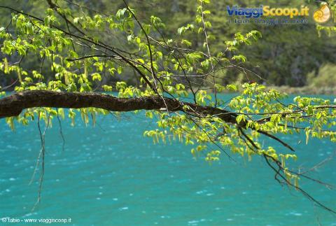 lake of plitvice