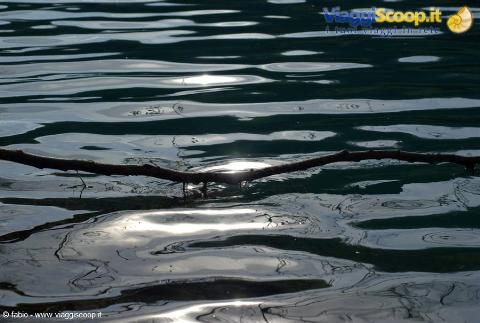 reflections in the lake