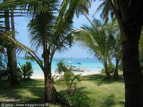 vegetation in boracay