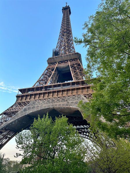 The Eiffel Tower wrought iron seen from below among green trees and blue sky