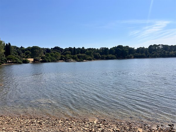Calm waters and blue sky: a peaceful break by the lake.