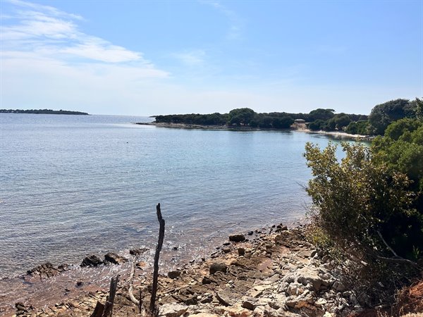 Walking among rocks and Mediterranean scrub in front of a calm sea.