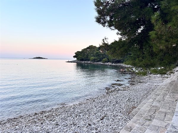 A quiet sunset on the coast among the pines, watching the little island in the distance