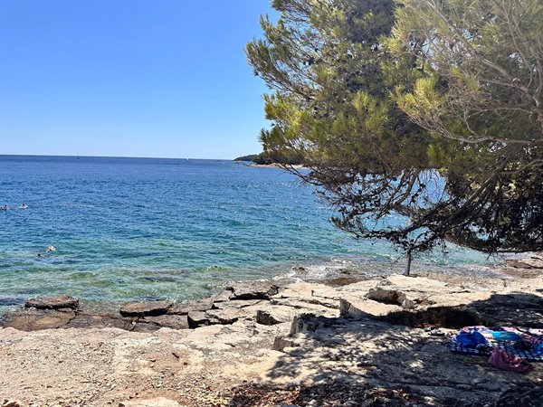 A dip in the turquoise waters of Dalmatia, an afternoon of pure peace.