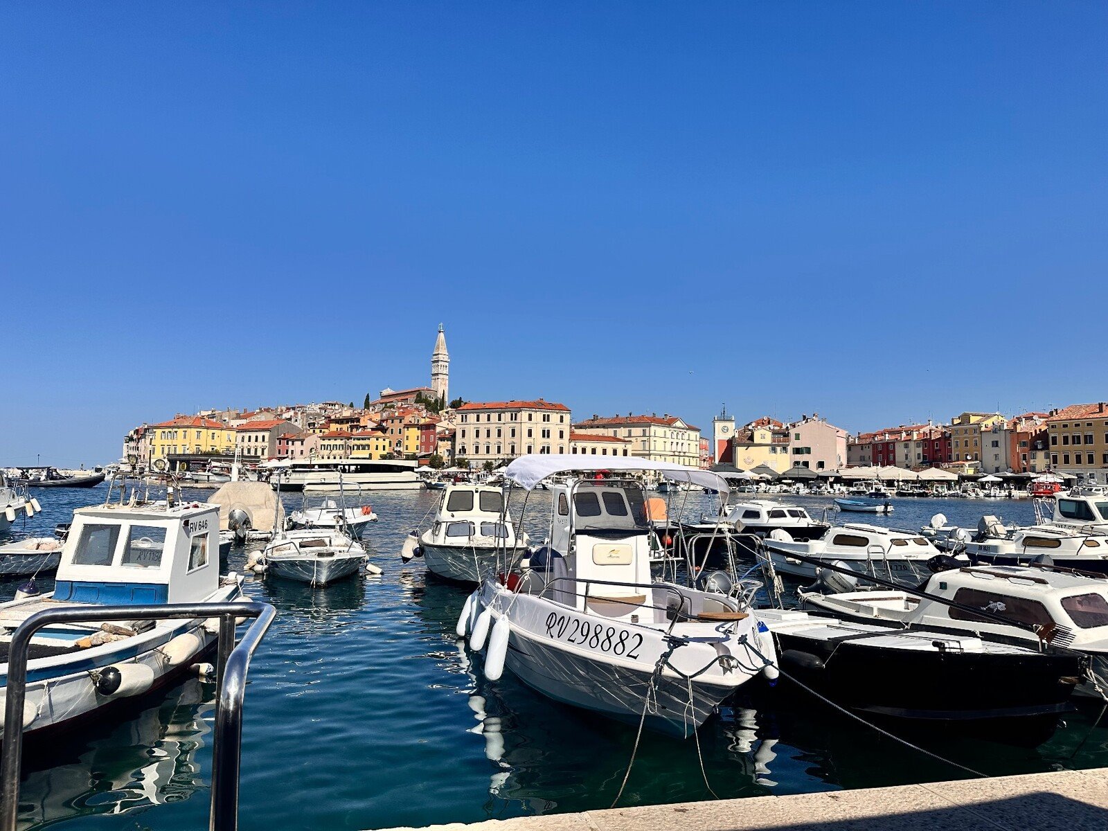 Il porto di Rovigno sotto il sole, campanile all'orizzonte: meraviglia pura.