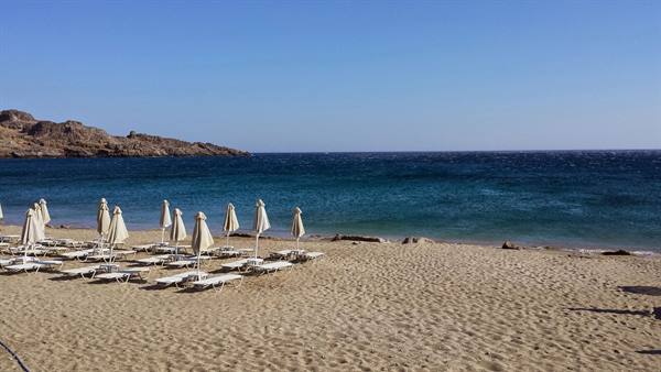 The beach still silent, umbrellas waiting for the day's sun.