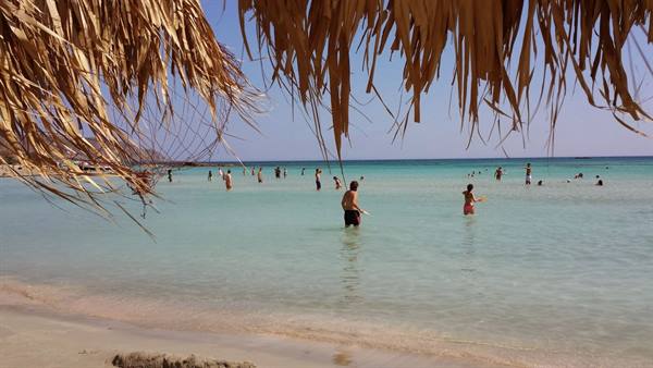 In the shade of the thatched umbrella, a dip in the turquoise water of Elafonissi.