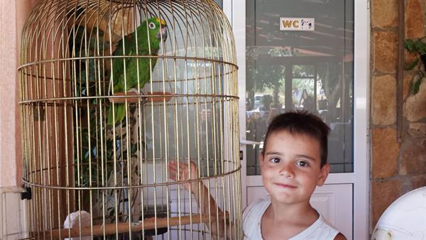 A smile and a green parrot: unexpected encounters on holiday.