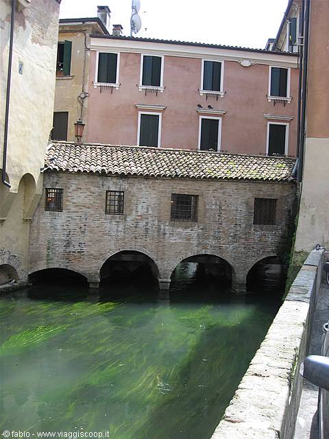 Brick houses with arches over the Buranelli canal in Treviso, green water