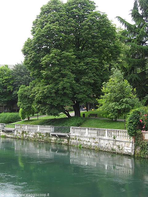 the park of treviso