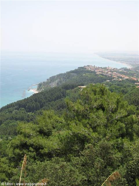 Green pines on rocky cliff above the sea, village along the coast