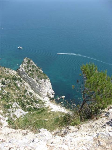 view from the wolf's path