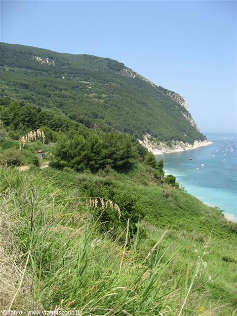Green hillside with wild grasses above a sandy beach and turquoise sea with boats