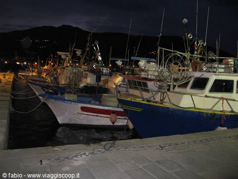 fishing boats in the harbour