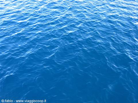 the sea