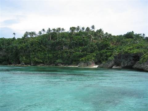 Turquoise water in front of green cliffs with palm trees