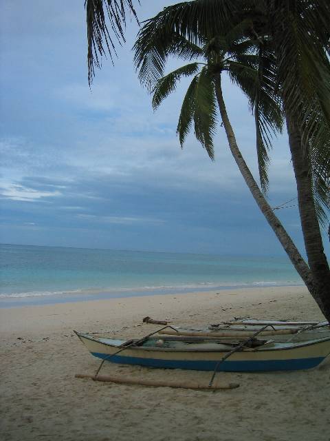 Blue and white outrigger fishing boat on sand beneath palm trees