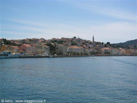 LUSSINO PICCOLO