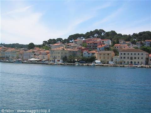 LUSSINO PICCOLO