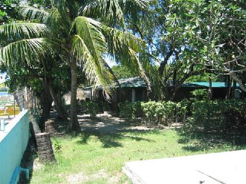 the cottage where i'm staying