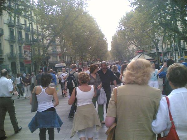 Crowd strolling under the trees along La Rambla, Barcelona