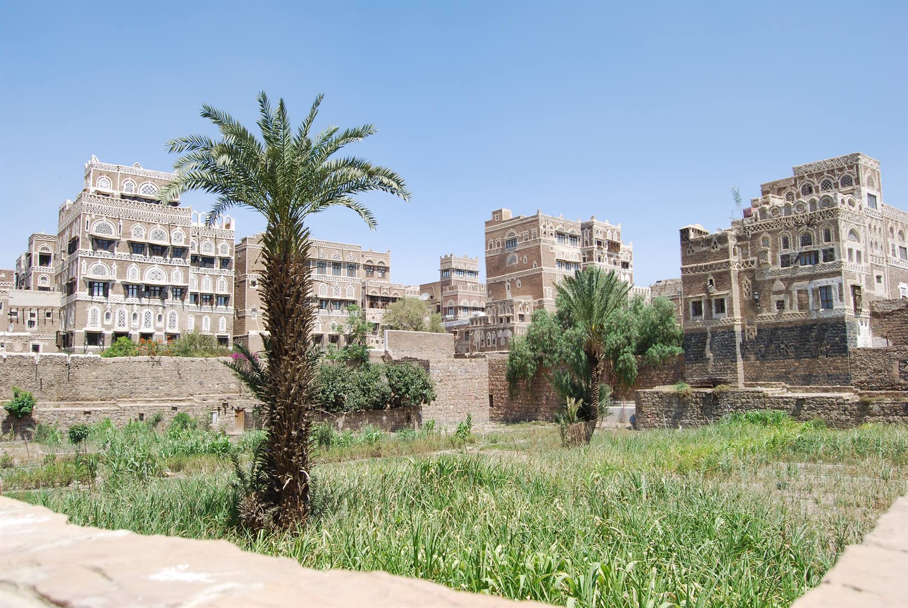 Sana'a houses and gardens